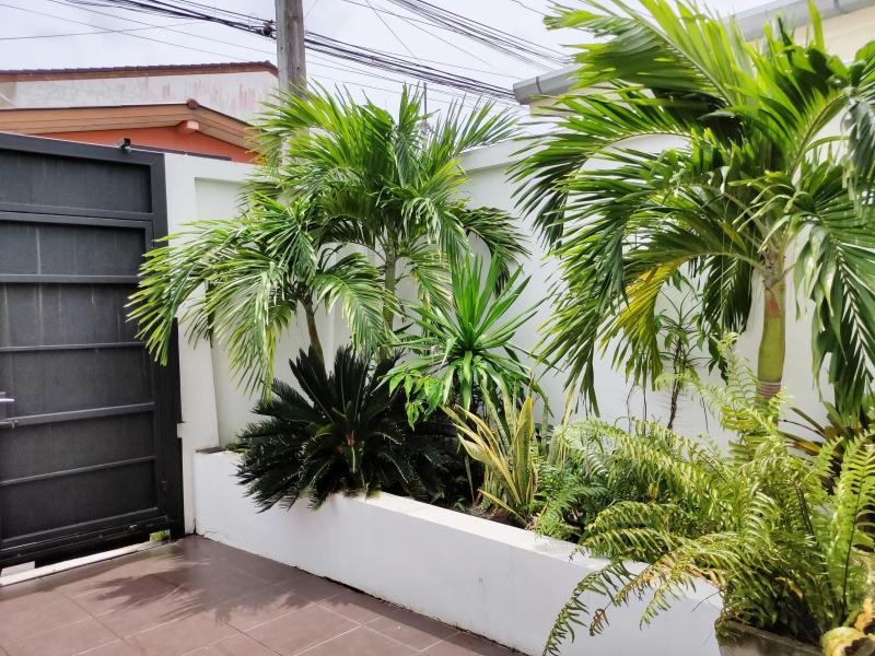 3 Bedrooms villa for Sale and Rent 