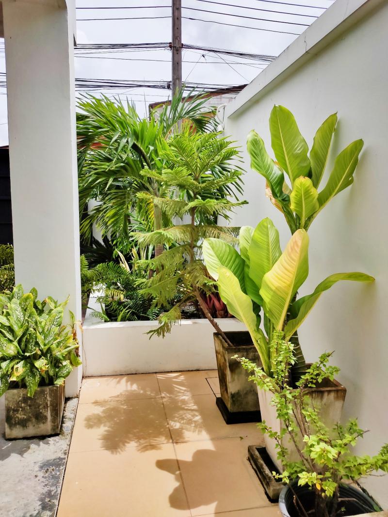 3 Bedrooms villa for Sale and Rent 