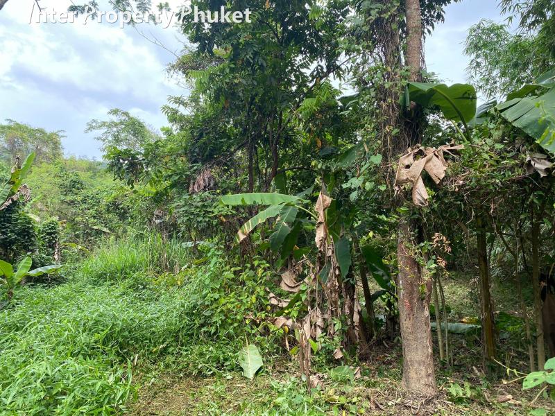 SC112 Land for sale
