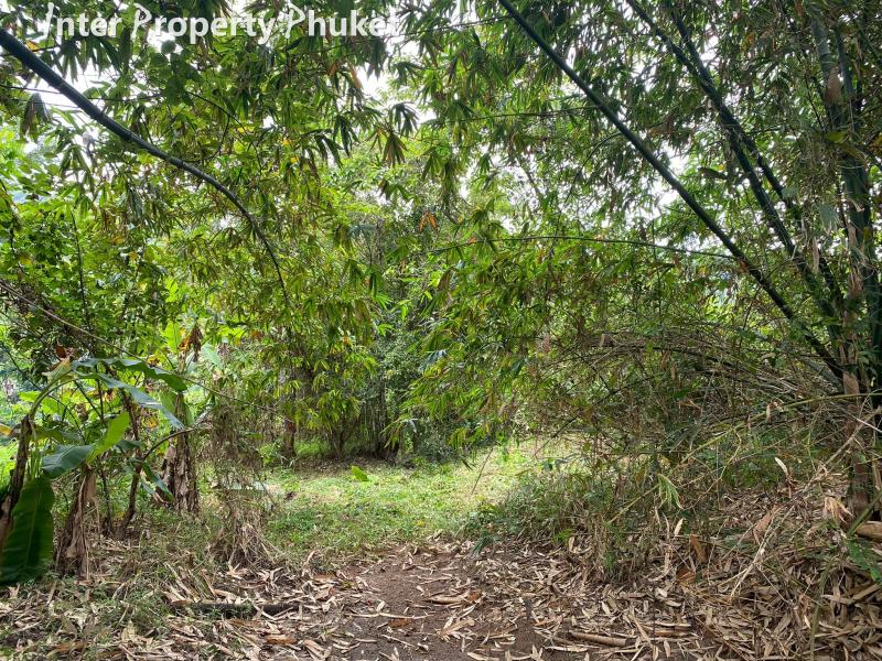 SC112 Land for sale