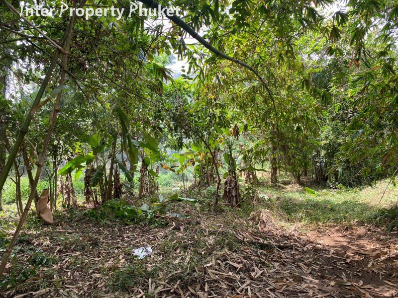 SC112 Land for sale