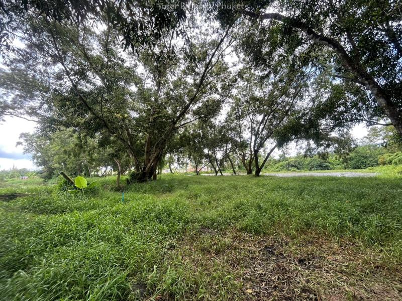 STL125 Land for sale