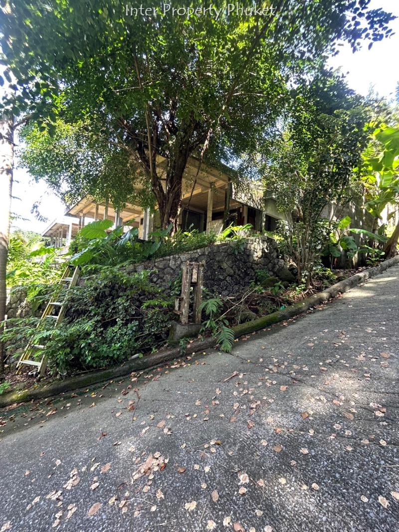 Land 8 Plot for sale