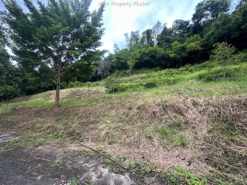Land 8 Plot for sale