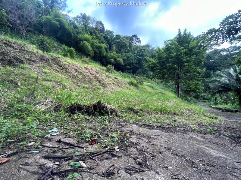 Land 8 Plot for sale