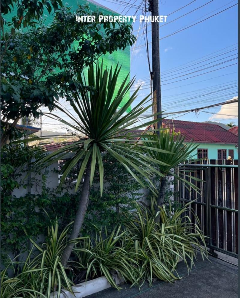 2 Houses within same fence - 3 Bedrooms for sale